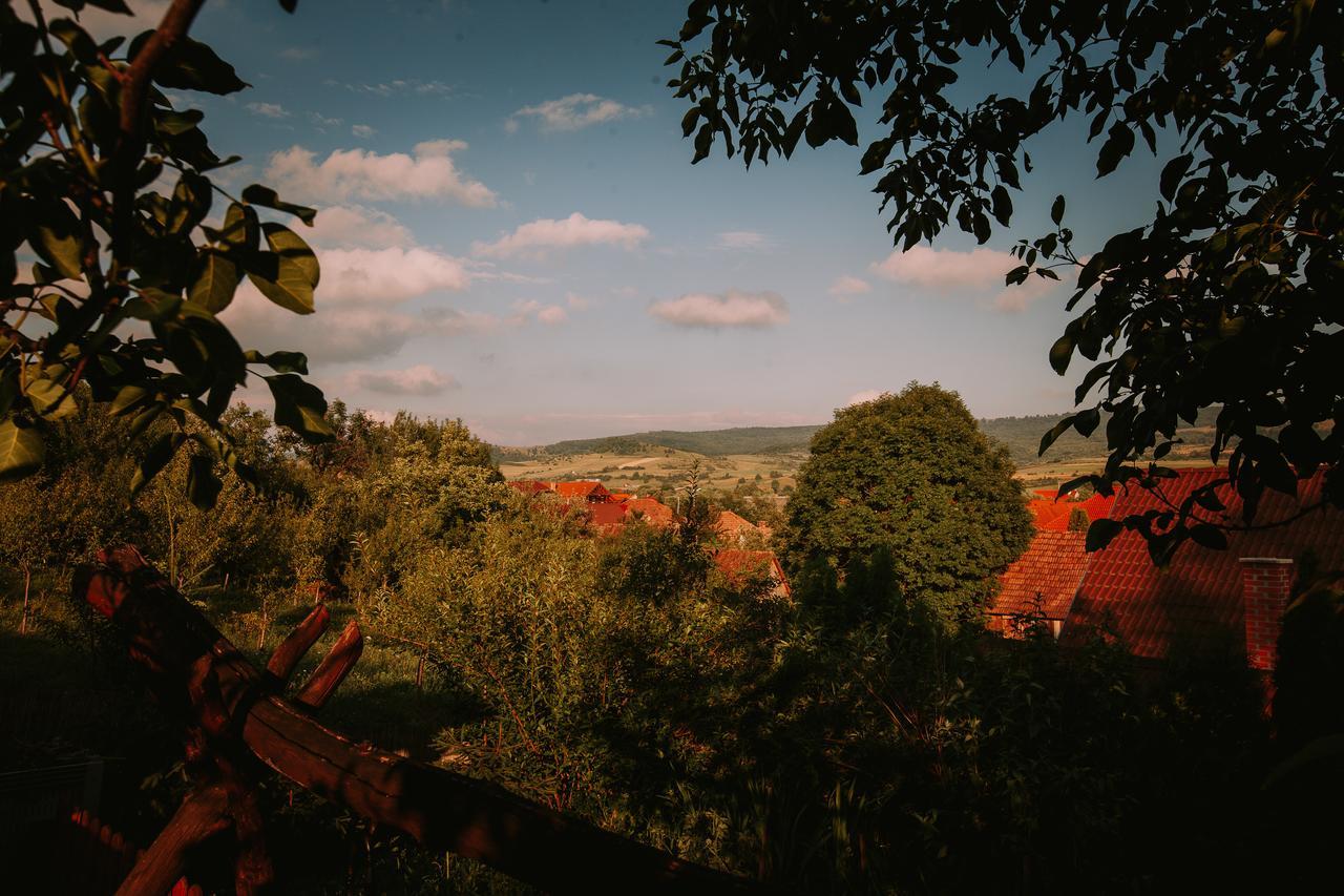 Bosnyak Panzio Bed & Breakfast Odorheiu Secuiesc Exterior photo